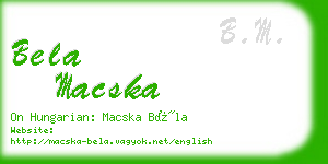 bela macska business card